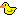 [ducky]